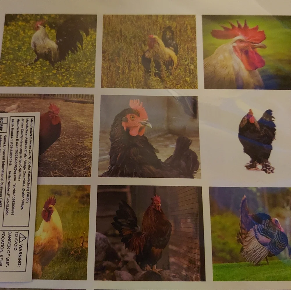 2026 Rooster Wall Calendar New In Package